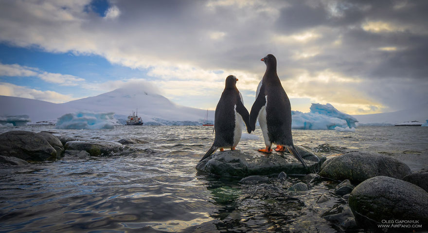 Dünyanın Öteki Ucu: Antarktika